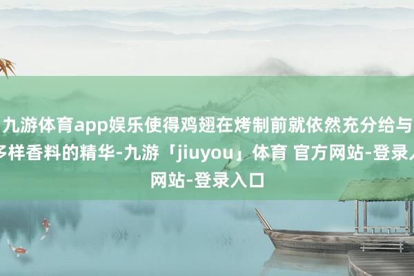九游体育app娱乐使得鸡翅在烤制前就依然充分给与了多样香料的精华-九游「jiuyou」体育 官方网站-登录入口