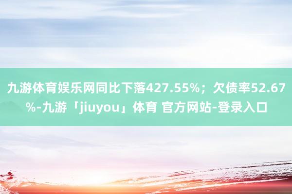 九游体育娱乐网同比下落427.55%;欠债率52.67%-九游「jiuyou」体育 官方网站-登录入口